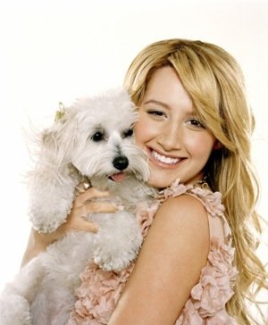 ashley_tisdale.jpg, 32 KB